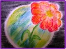 bilder.webp