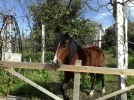 310120102041.webp