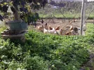 310120102036.webp