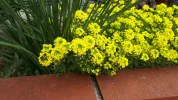20190413_134159.webp