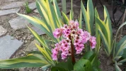 20190413_132447.webp