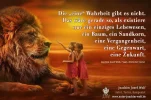 FB_IMG_1555264070256.webp