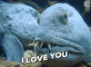 giphy-1.gif