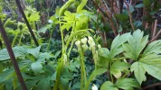 20190415_110217.webp