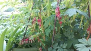 20190415_110204.webp