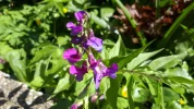 20190415_110118.webp