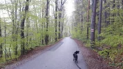 20190415_065922-3456x1944.webp