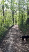 20190415_154649-1944x3456.webp