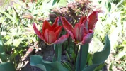 20190417_101709.webp