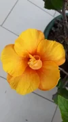 20190417_173843.webp
