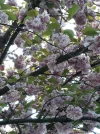 20190418_145940.webp