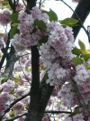 20190418_150049.webp