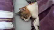 20190419_115816.webp