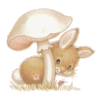 hase-0249.gif