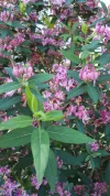 20190420_084238.webp