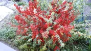 20190420_191918.webp