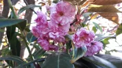 20190420_184908.webp