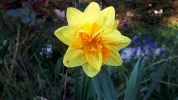 20190420_182951.webp