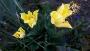 20190420_182858.webp