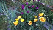 20190420_182848.webp