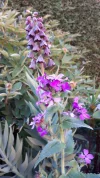 20190420_182759.webp