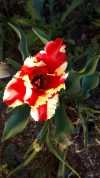 20190420_182704.webp