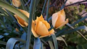 20190420_182607.webp