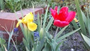 20190420_182547.webp
