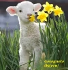 ostern.webp