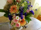 DSC00001.webp