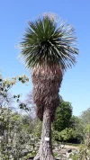 20190422_103740.webp