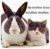FB_IMG_1555839029776.webp