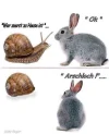 FB_IMG_1555821141027.webp