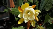 20190422_100437.webp