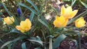 20190422_153555.webp