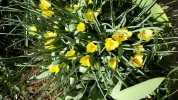 20190422_153538.webp