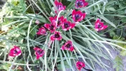 20190422_153434.webp