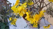 20190422_153010.webp