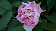 20190422_152730.webp