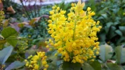 20190422_152708.webp