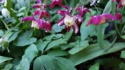 20190422_152655.webp