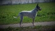 20190415_153941 (2).webp