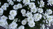20190422_152616.webp
