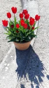 20190422_102016 1.webp