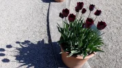 20190422_102045 1.webp