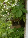 DSCN2300.webp