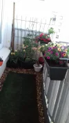 20190425_115839 (1).webp