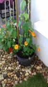 20190425_115856.webp