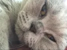 AE229362-E12D-4748-8D8F-16935660DCE3.webp