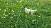20190425_141844.webp